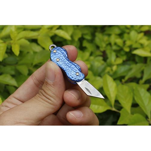 Four color small flower growth item sword practice