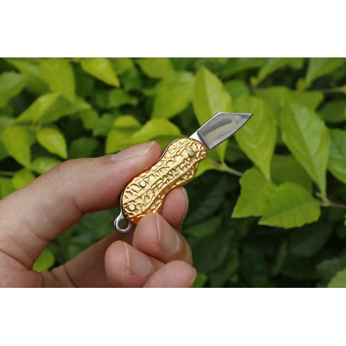 Four color small flower growth item sword practice