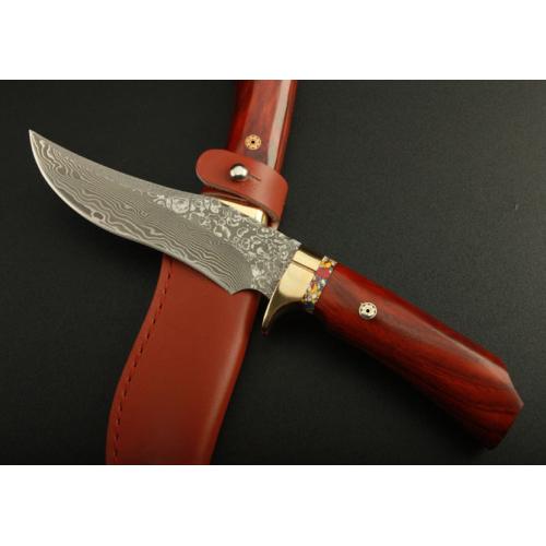 Damascus Mantis M2 Collector\'s Knife