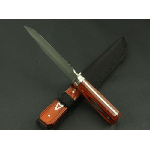 Jungle Hunter (Medium)