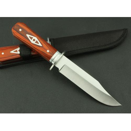 Jungle Hunter (Medium)