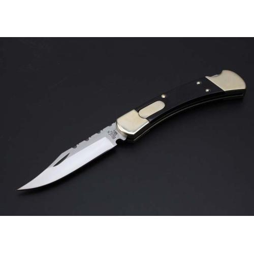 Buck 110 Folding Knife: Classic Damascus