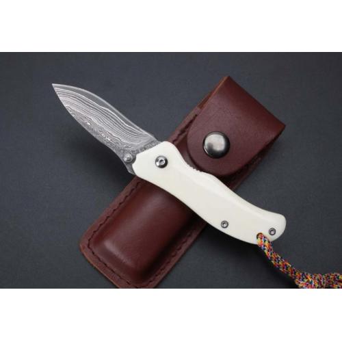 Damascus - ZT Beast Bone Mini Folding Knife