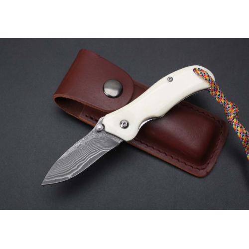 Damascus - ZT Beast Bone Mini Folding Knife