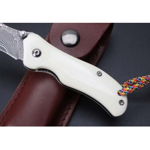 Damascus - ZT Beast Bone Mini Folding Knife