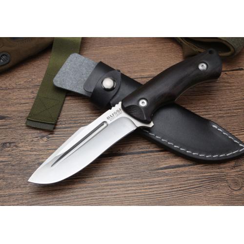 Canglang Compact Fixed Blade Wild Boar
