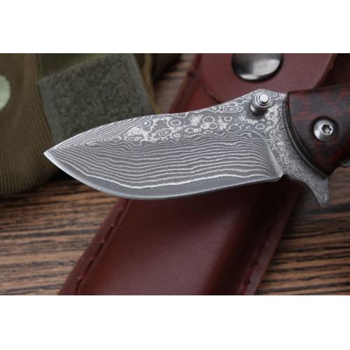 KJ-036 Snakewood Damascus Folding Knife