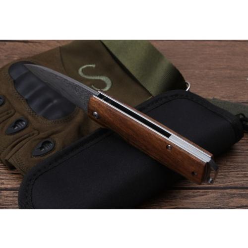 Damascus Folding Knife with Moscow Rosewood Handle (Model 099)