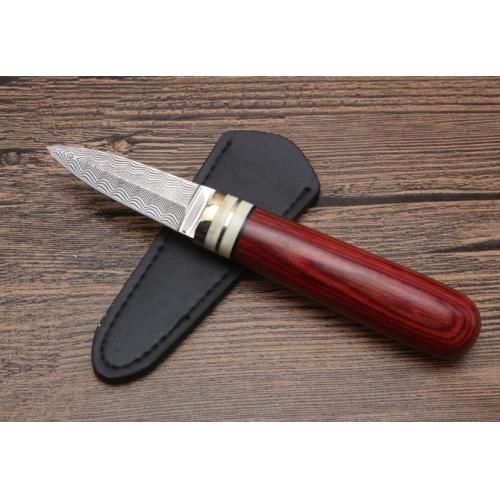 Vibrant Damascus Wood Tea Knife