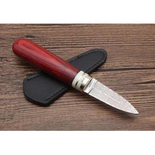 Vibrant Damascus Wood Tea Knife