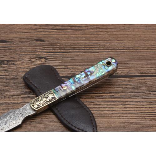 Abalone Shell Damascus Tea Knife