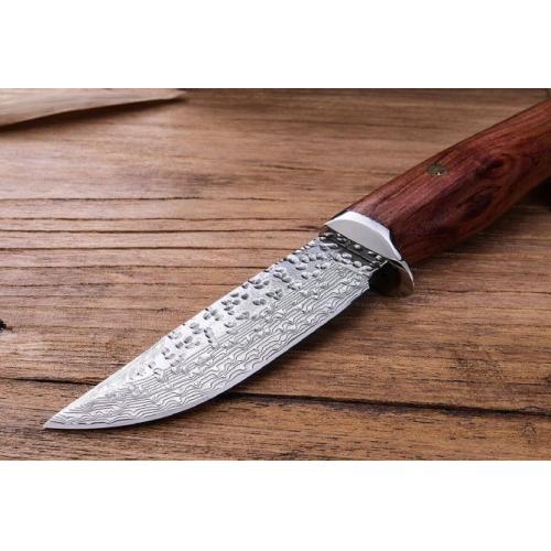 Polka Damascus Steel Fixed-Blade Knife
