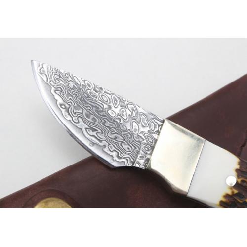 Damascus Antler Small Fixed Blade Knife