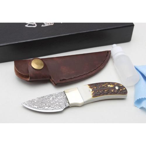 Damascus Antler Small Fixed Blade Knife
