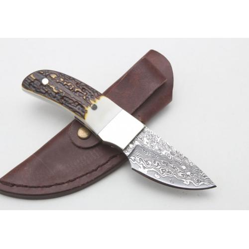 Damascus Antler Small Fixed Blade Knife