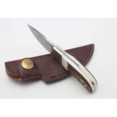 Damascus Antler Small Fixed Blade Knife