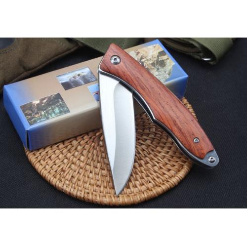 Swift Bird Bearing-Assisted Folding Knife