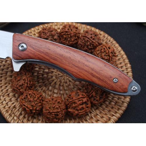 Swift Bird Bearing-Assisted Folding Knife