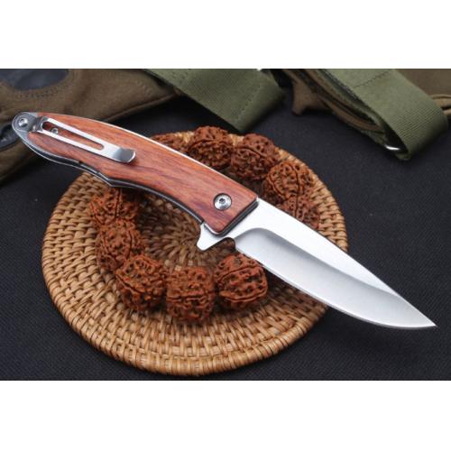 Swift Bird Bearing-Assisted Folding Knife
