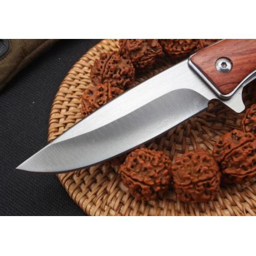 Swift Bird Bearing-Assisted Folding Knife