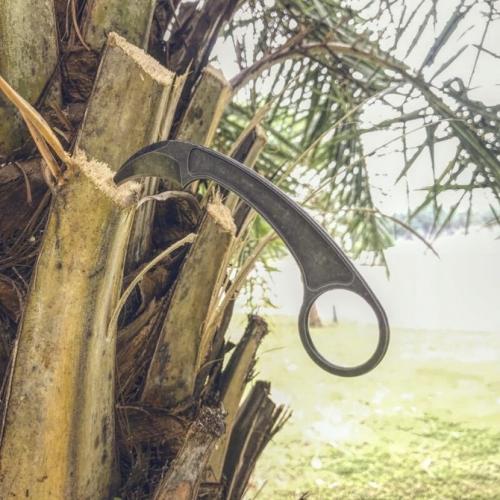 Bastinelli Knives Tactical Claw Knife
