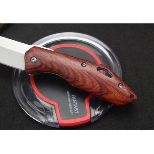 Beast Folding Knife