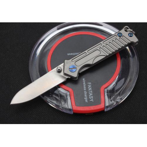Harley Titanium Keychain Folding Knife (D2 Steel)