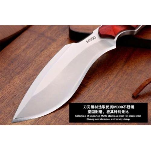 Export Edition - Tianci Little Kukri