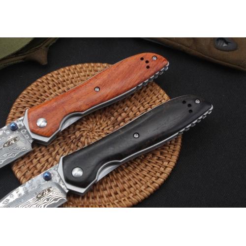 Osprey Damascus Folding Knife
