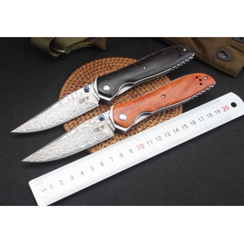 Osprey Damascus Folding Knife