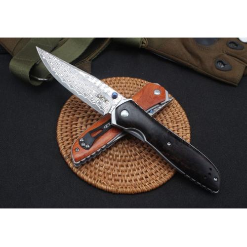 Osprey Damascus Folding Knife