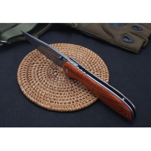 Osprey Damascus Folding Knife