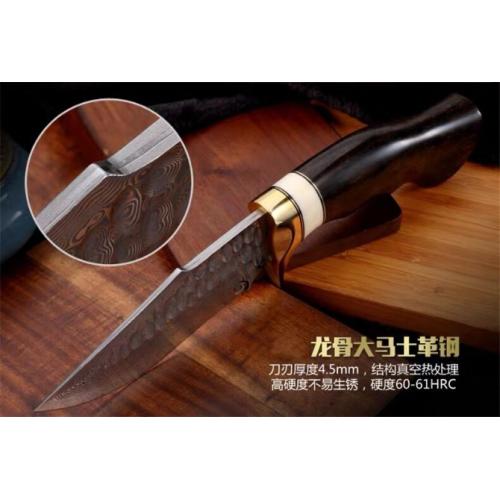 Ren Zhe Premium Handmade Damascus Knife