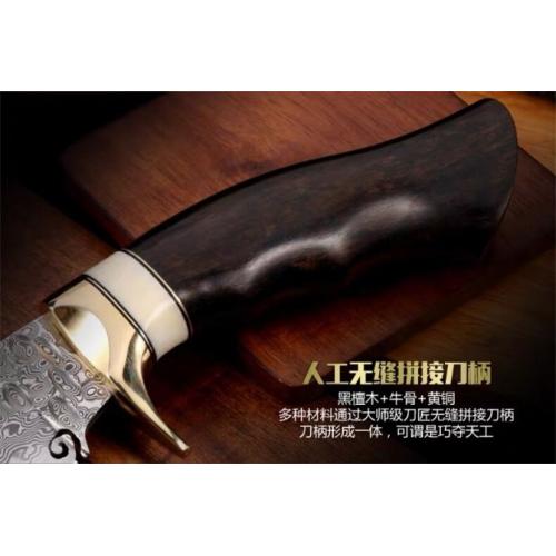 Ren Zhe Premium Handmade Damascus Knife