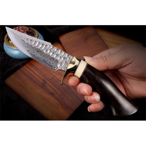 Ren Zhe Premium Handmade Damascus Knife