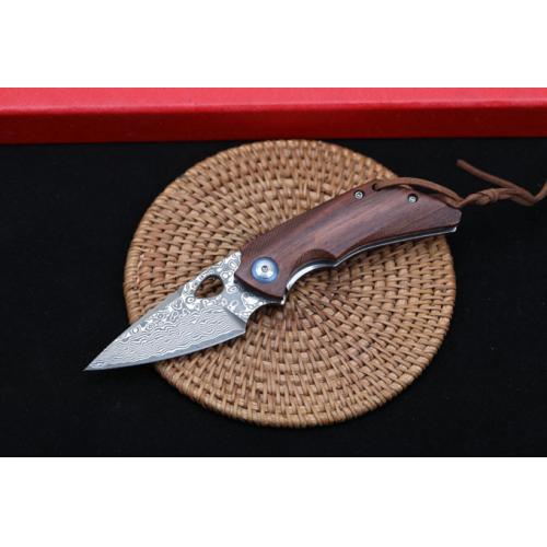 Eagle Beak Damascus Folding Knife