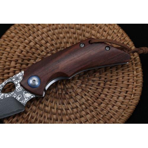 Eagle Beak Damascus Folding Knife