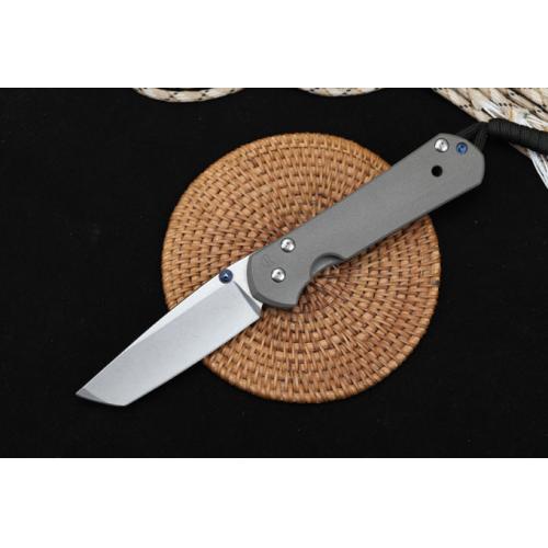 Chris Reeve Large Sebenza 21 T-Head Anniversary Edition
