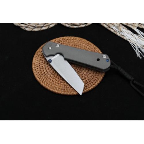 Chris Reeve Large Sebenza 21 T-Head Anniversary Edition