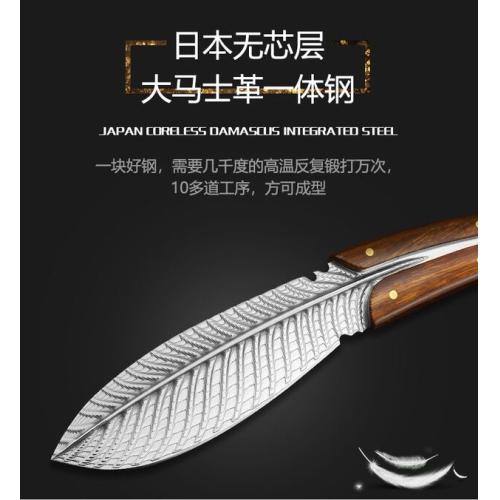 Limited Edition Feather Damascus Steel Knife