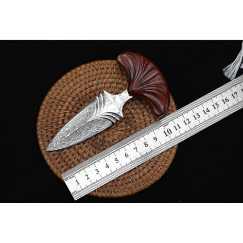 Introducing the New Edition - Fan Stinger Knife