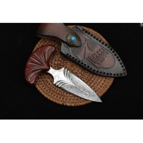 Introducing the New Edition - Fan Stinger Knife