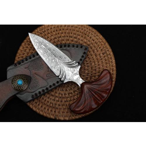 Introducing the New Edition - Fan Stinger Knife