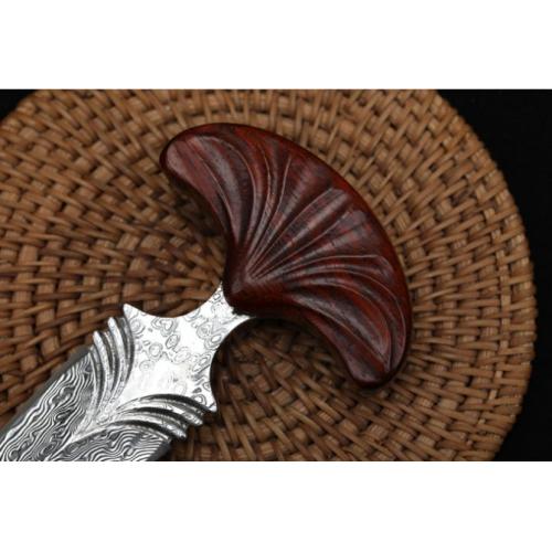 Introducing the New Edition - Fan Stinger Knife