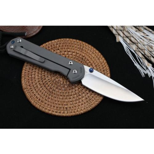Chris Reeve Large Sebenza 21 Anniversary Edition (Satin Finish)