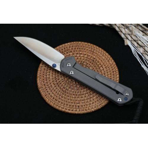 Chris Reeve Large Sebenza 21 Anniversary Edition (Satin Finish)