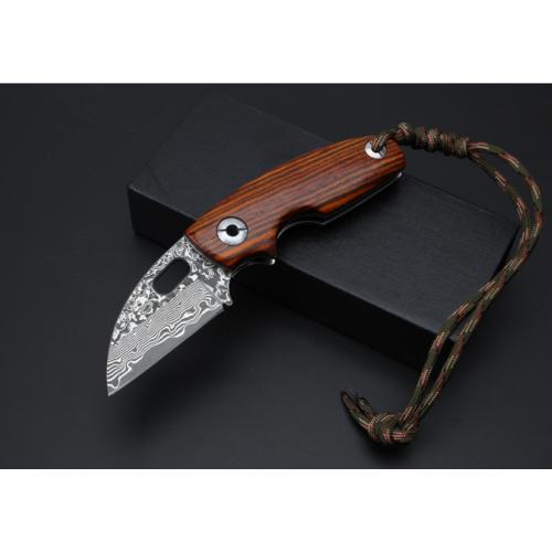 Thomas Toucan Damascus Folding Knife