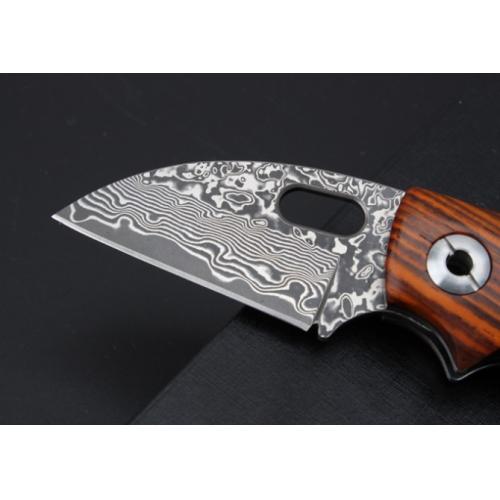 Thomas Toucan Damascus Folding Knife