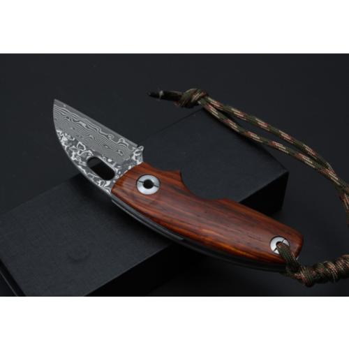 Thomas Toucan Damascus Folding Knife