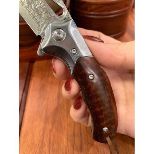 Arrow Shark Quick-Open Folding Knife with Bearing System